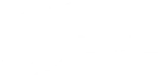 Logo Positivis Life
